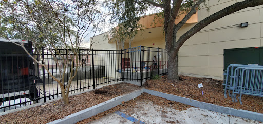 Movie Theater «Ritz Theatre and Museum», reviews and photos, 829 N Davis St, Jacksonville, FL 32202, USA