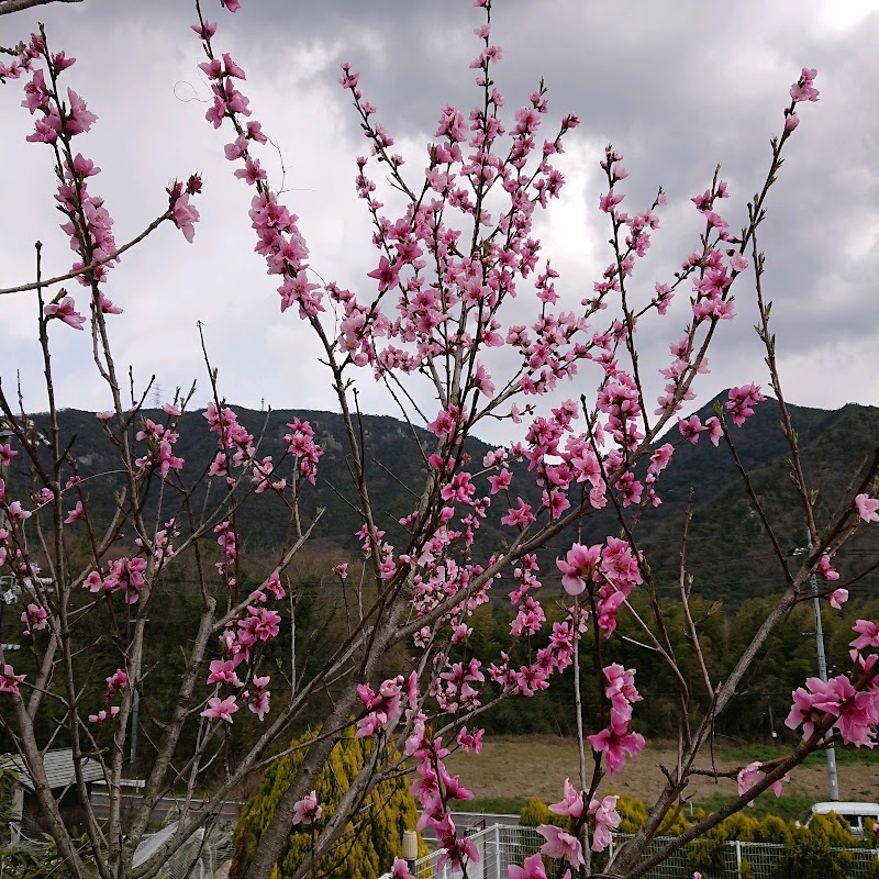 ドッグラン ドッグカフェ バウワウ 岡山県岡山市東区瀬戸町大内 ドッグカフェ グルコミ