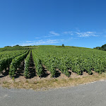 Photo n° 1 de l'avis de Massimiliano.e fait le 05/07/2019 à 16:17 pour Le Sentier du Vigneron à Mutigny