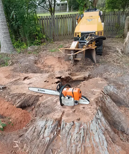 Steve's Stump Grinding & Tree Services