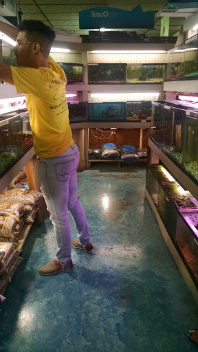 Pet Store «Southside Pet Shop», reviews and photos, 7031 Southside Dr, Louisville, KY 40214, USA