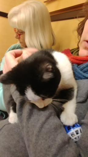 Pet Supply Store «PetSmart», reviews and photos, 3680 S US Hwy 41, Terre Haute, IN 47802, USA