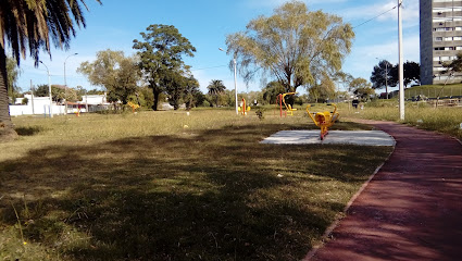 Parque De La Juventud