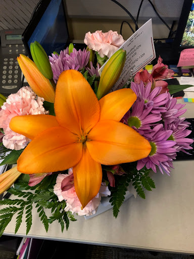 Florist «Gidas Flowers», reviews and photos, 3719 Forbes Ave, Pittsburgh, PA 15213, USA