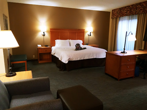 Hotel «Hampton Inn & Suites Tampa East (Casino Area)», reviews and photos, 11740 Tampa Gateway Blvd, Seffner, FL 33584, USA