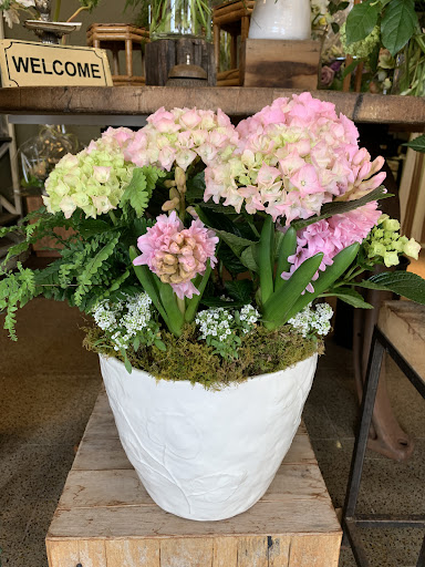 Florist «Earth Garden», reviews and photos, 89 Elm St, New Canaan, CT 06840, USA
