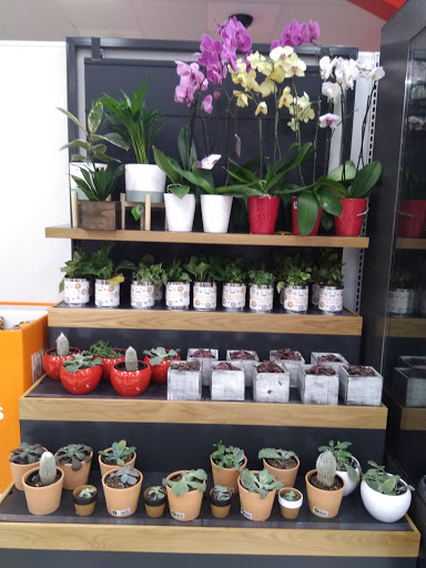 Department Store «Target», reviews and photos, 8801 NE Hazel Dell Ave, Vancouver, WA 98665, USA