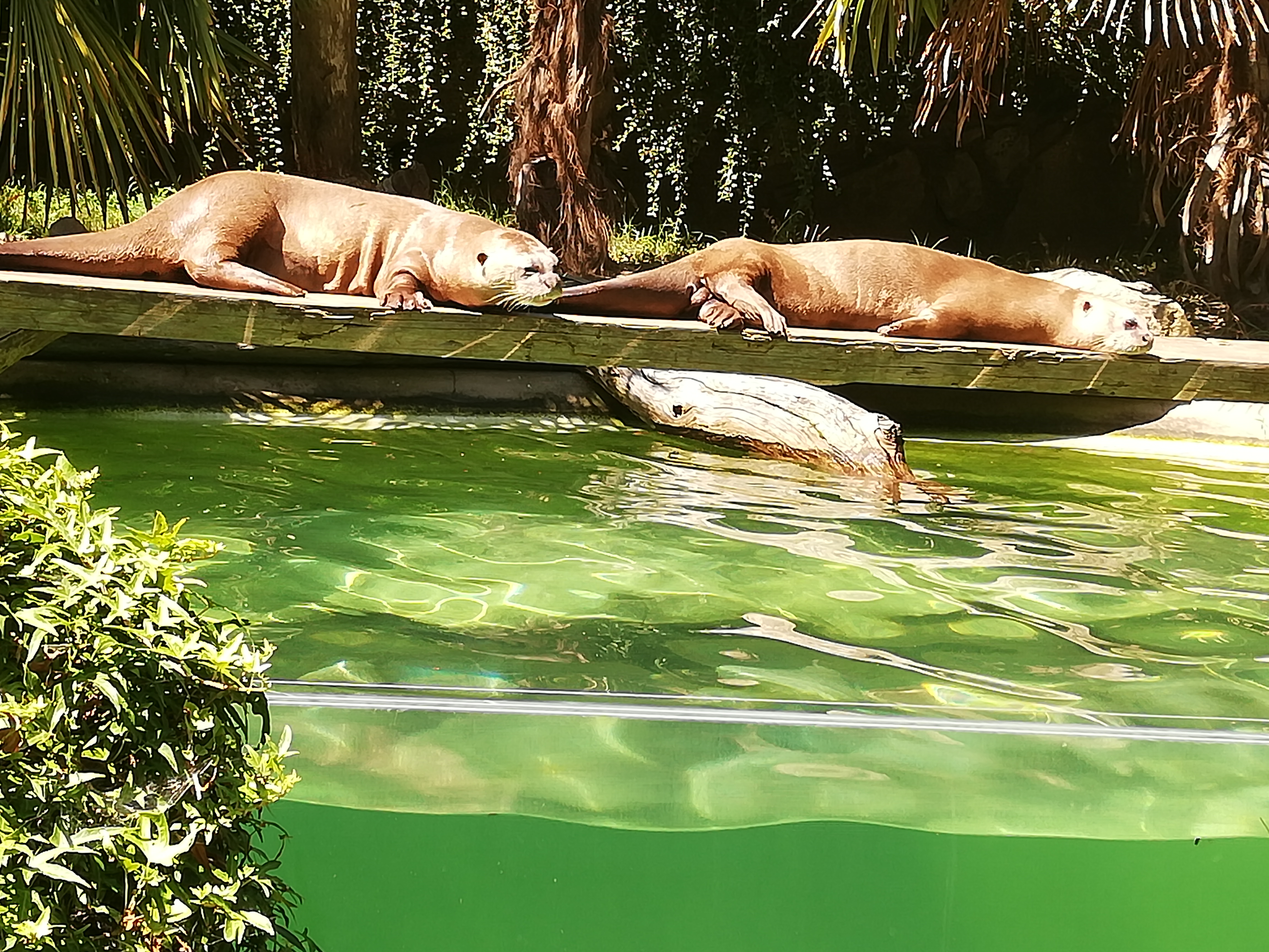 Photo n° 21 de l'avis de Soleil. fait le 20/08/2020 à 12:36