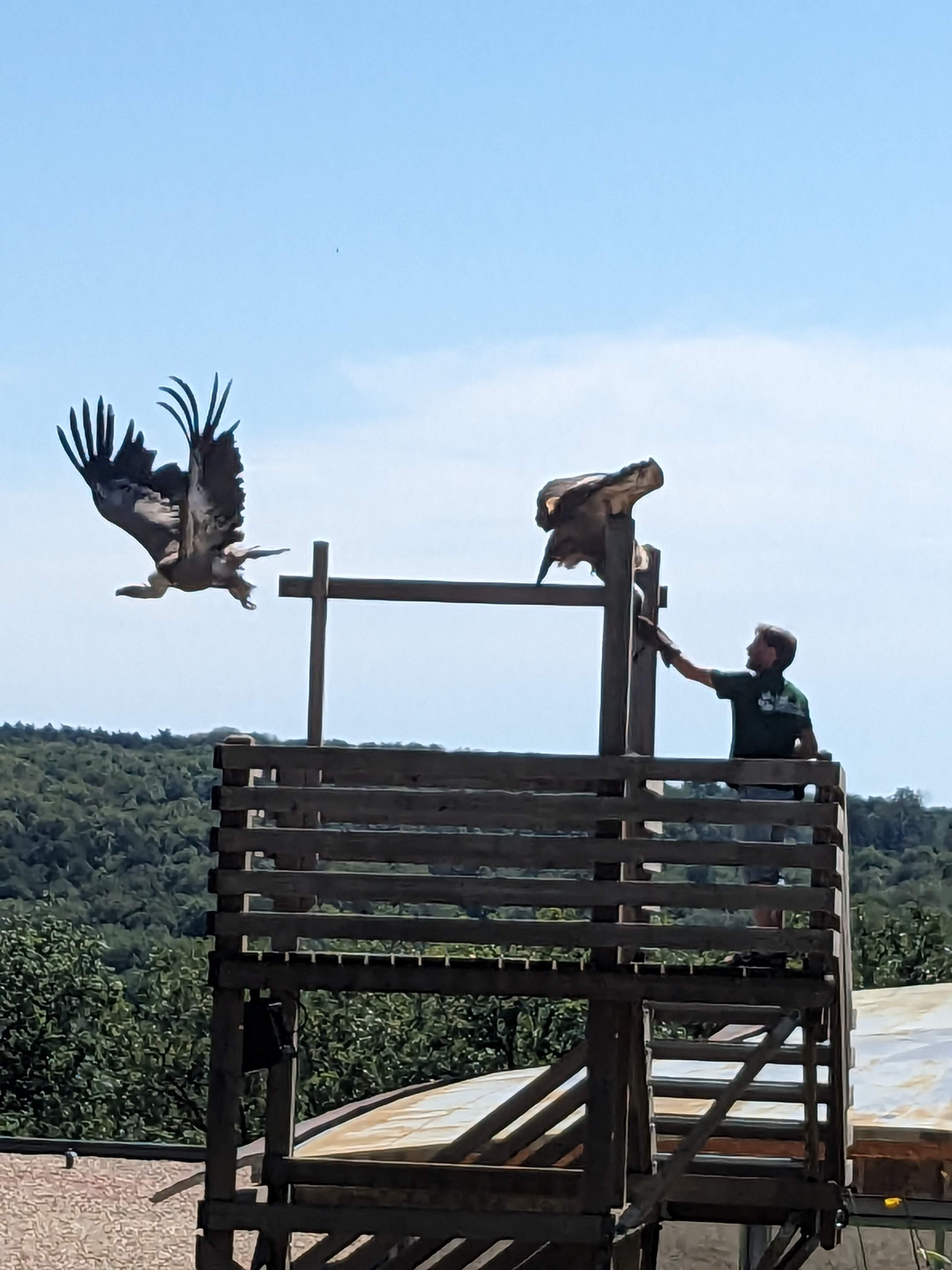 Photo n° 6 de l'avis de Ophélie.a fait le 12/08/2023 à 18:00