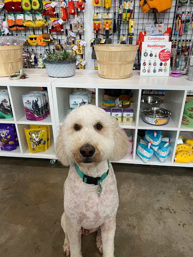 Pet Supply Store «Prime Pet», reviews and photos, 2505 E 6th St d, Austin, TX 78702, USA