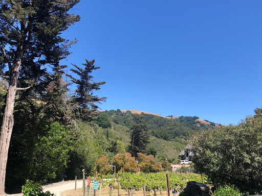 Winery «Westover Winery», reviews and photos, 34329 Palomares Rd, Castro Valley, CA 94552, USA