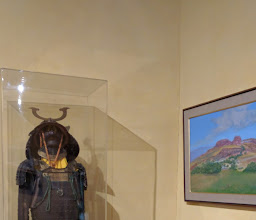 Museo Luis Nishizawa photo