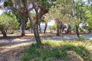 Talat Göktepe Çamlığı Piknik Alanı image