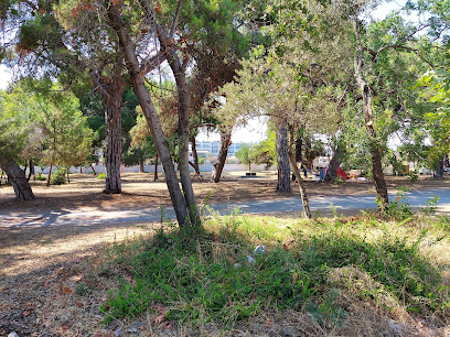 Talat Göktepe Çamlığı Piknik Alanı