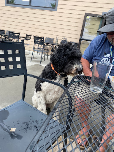 Brewery «Canyon Creek Brewing», reviews and photos