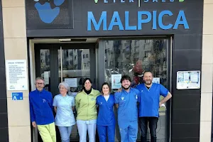 Hospital de Día Vetersalud Malpica image