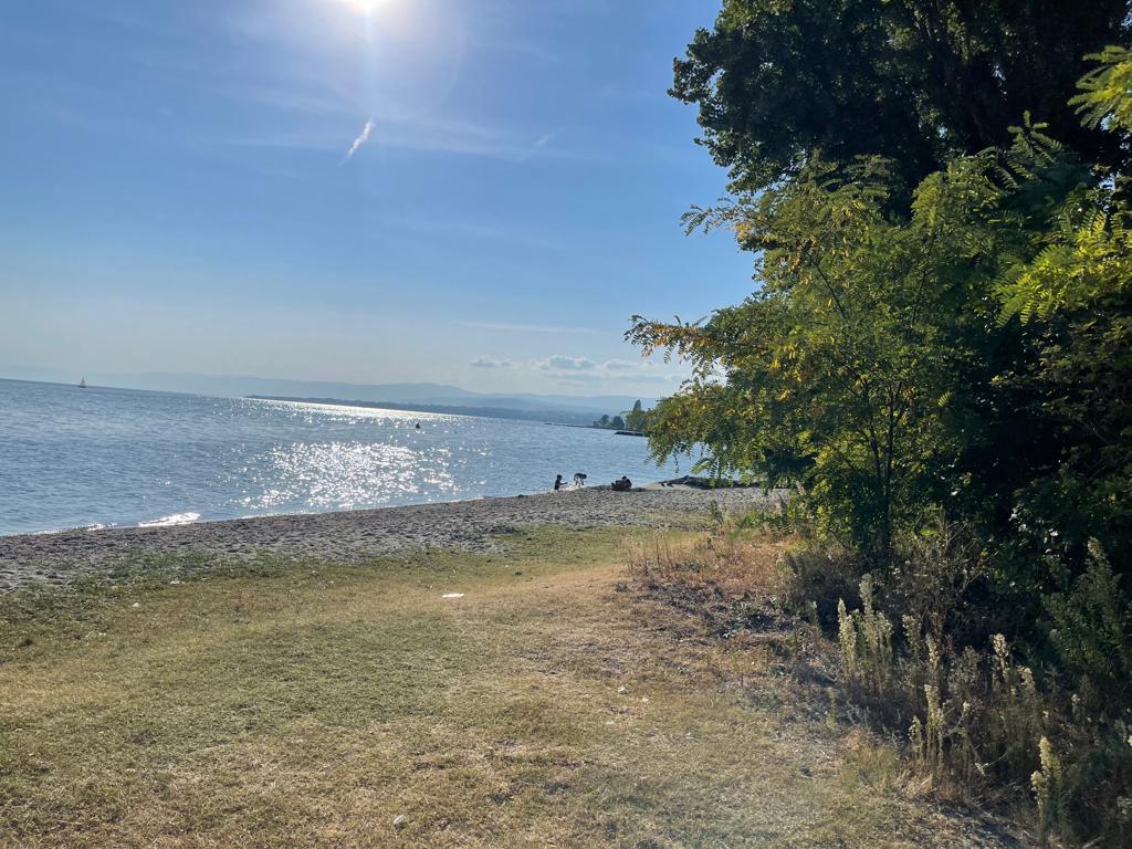 Photo de Plage de St.-Sulpice - endroit populaire parmi les connaisseurs de la détente