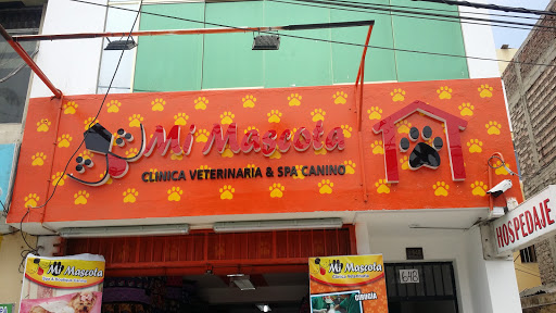 Clinica Veterinaria & Spa Canino MI MASCOTA