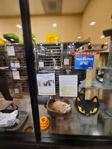Pet Supply Store «PetSmart», reviews and photos, 1034 N El Camino Real, Encinitas, CA 92024, USA