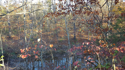 Insulation Contractor «Home Performance Experts», reviews and photos