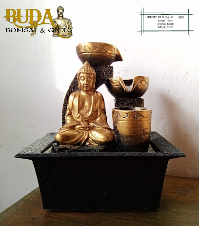 Buda Bonsai & Gifts
