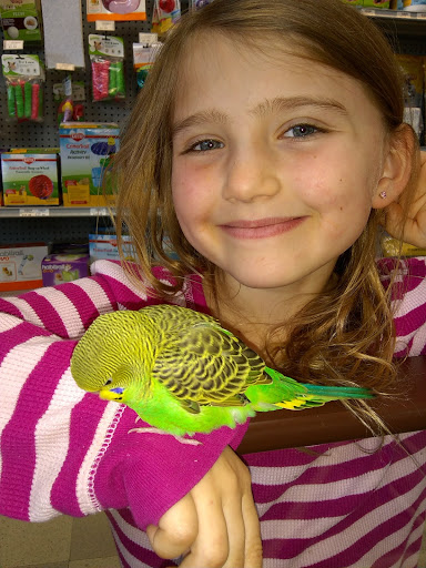 Pet Store «Petland», reviews and photos, 977 E State St, Athens, OH 45701, USA