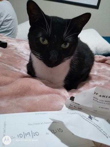 Clothing Store «Ross Dress for Less», reviews and photos, 2745 E Bidwell St, Folsom, CA 95630, USA