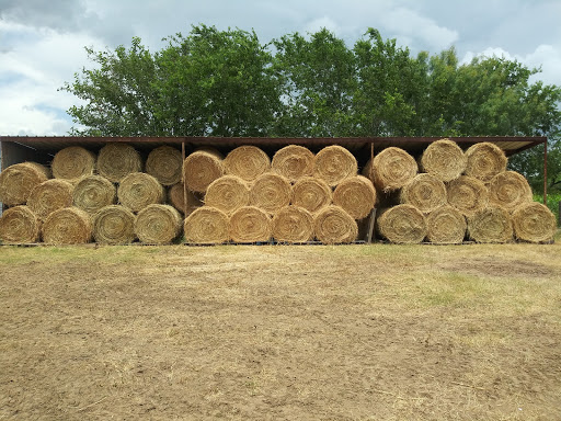 Poultry Farm «R Farm», reviews and photos, 1041 Farm-To-Market 2537, San Antonio, TX 78221, USA