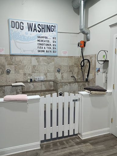 Pet Supply Store «The Natural Pet Outlet», reviews and photos, 3380 Fairfield Ave, Bridgeport, CT 06605, USA