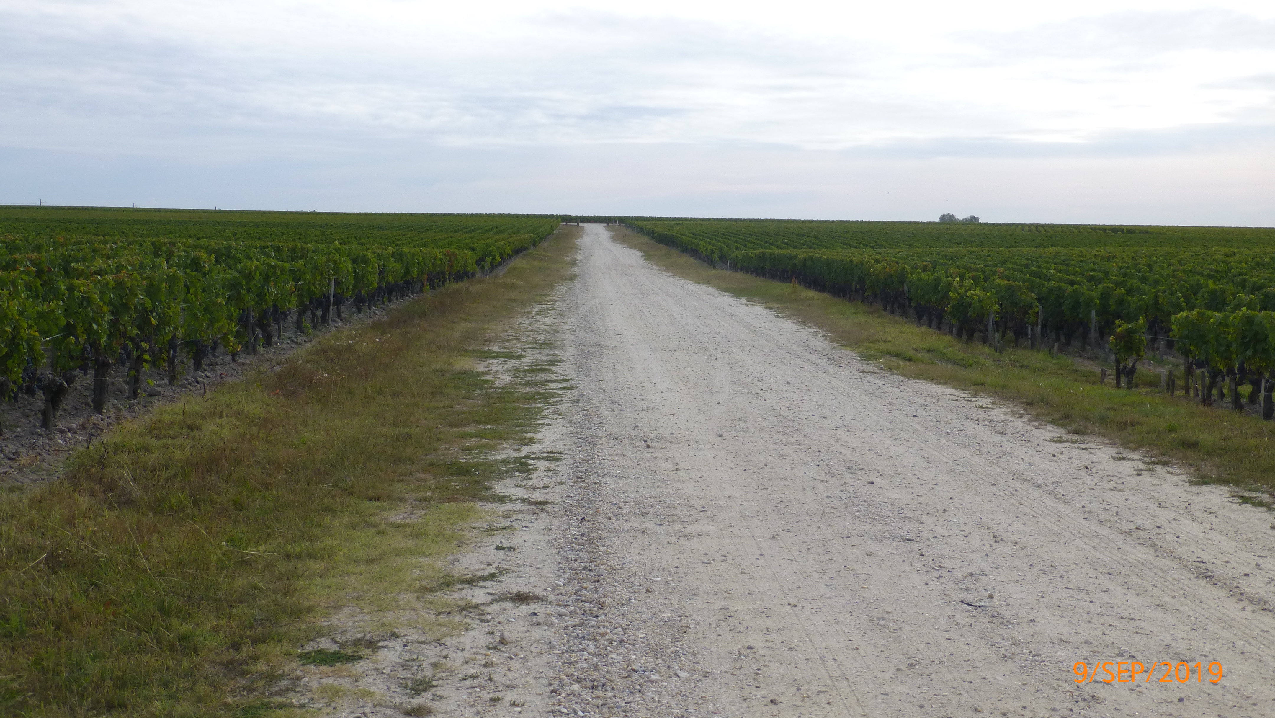 Photo n° 3 de l'avis de M. fait le 23/11/2019 à 09:46
