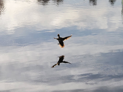 Golf Course «Legion Memorial Golf Course», reviews and photos, 144 W Marine View Dr, Everett, WA 98201, USA