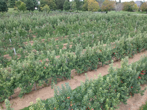 Produce Market «Parks Farms», reviews and photos, 525 NJ-24, Chester, NJ 07930, USA