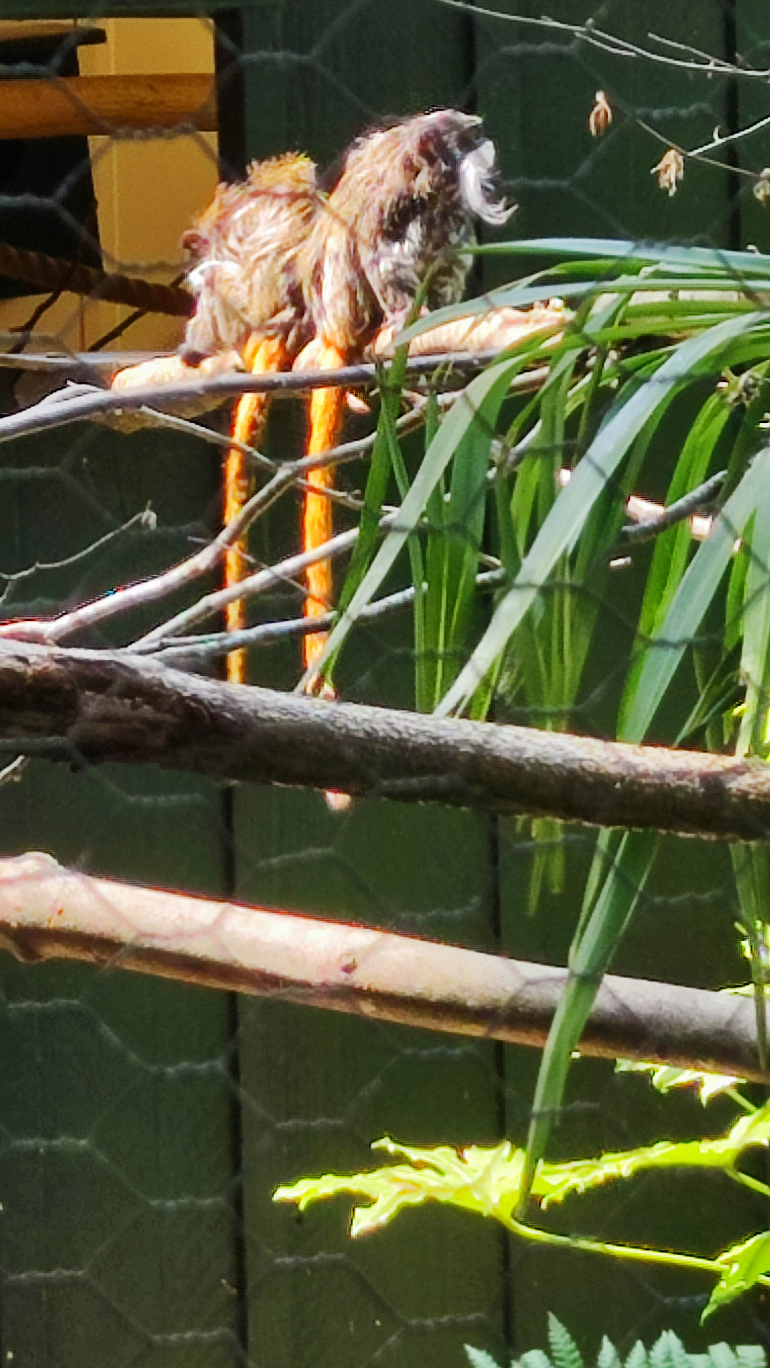 Photo n° 5 de l'avis de Frédéric.a fait le 30/05/2023 à 09:57