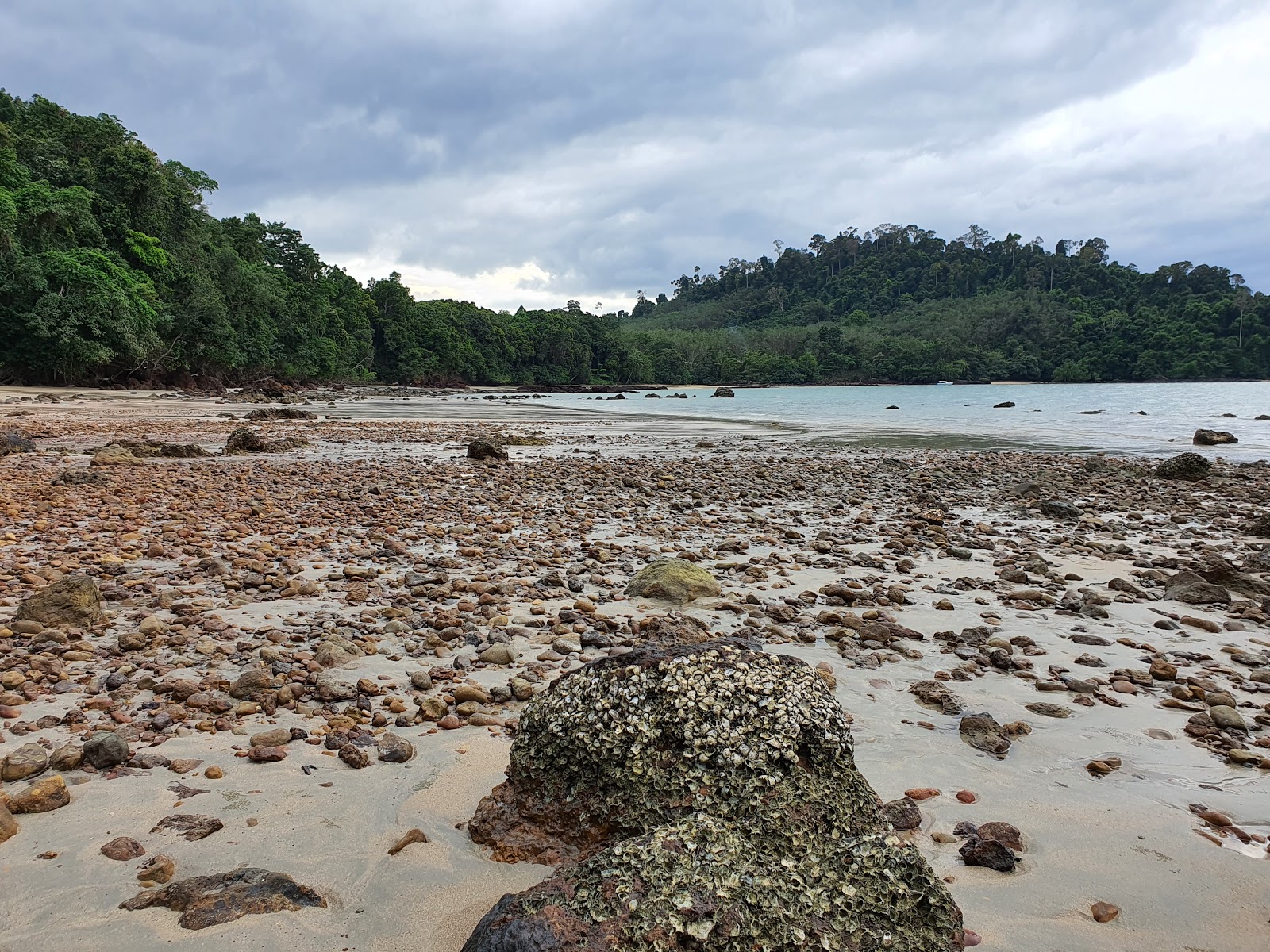 Foto van Stone Beach gelegen in een natuurlijk gebied