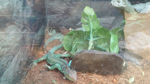 Pet Supply Store «Petco Animal Supplies», reviews and photos, 6425 Keizer Station Blvd, Keizer, OR 97303, USA