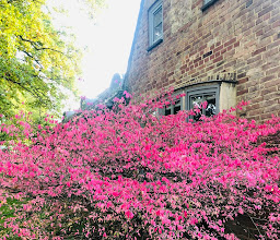Kassel Botanical Garden photo