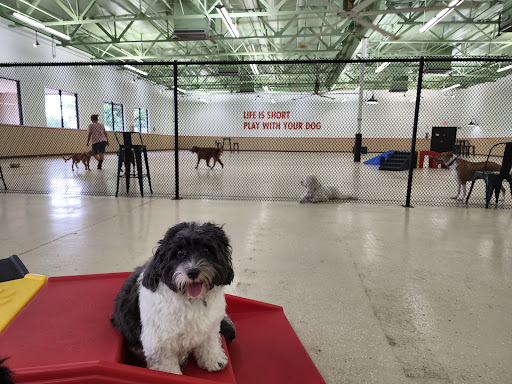 Mak Pack Indoor Dog Park, Doggy Daycare, Dog Wash, Overnight Boarding, Dog Training