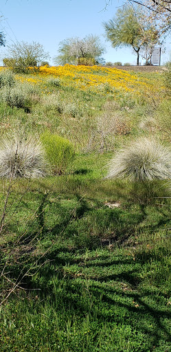 Park «Zanjero Park», reviews and photos, 3785 S Lindsay Rd, Gilbert, AZ 85297, USA