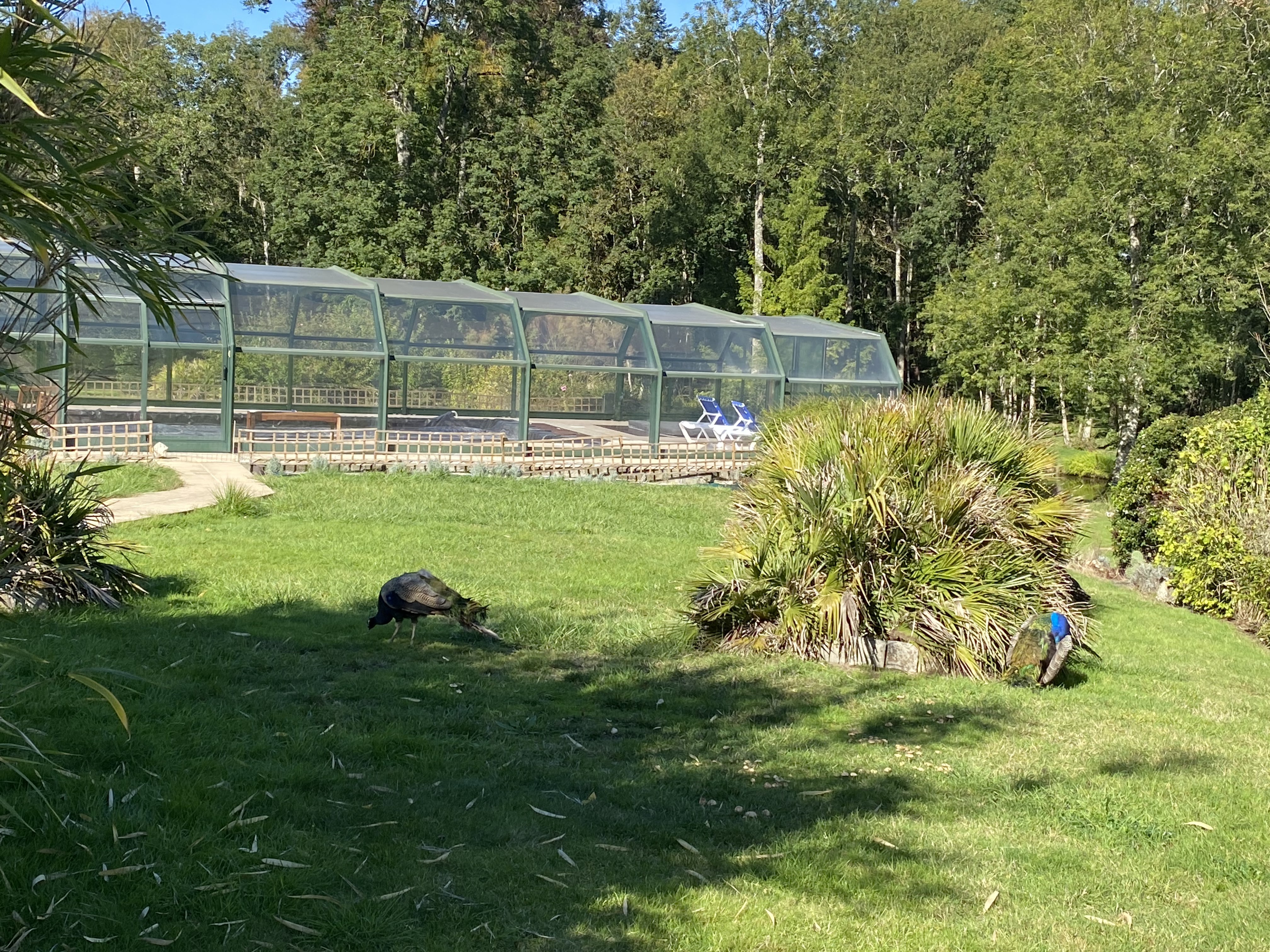 Photo n° 3 de l'avis de Carlos.i fait le 18/10/2021 à 08:31