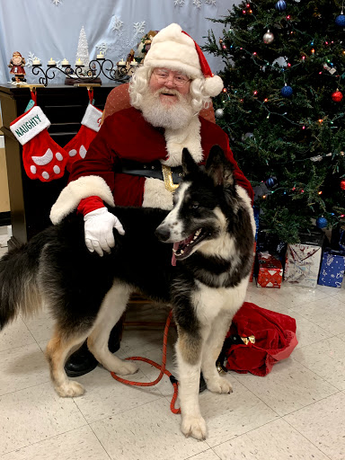 Pet Supply Store «PetSmart», reviews and photos, 2929 James Sanders Blvd f, Paducah, KY 42001, USA