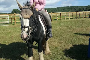 Cannock Chase Trekking Centre image