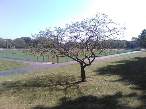 Park «Foote Memorial Park», reviews and photos, Melrose Ave, Branford, CT 06405, USA