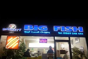 Bassett Big Fish image