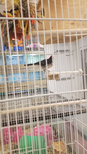 Pet Store «Exotic Pets», reviews and photos, 2410 N Decatur Blvd #160, Las Vegas, NV 89108, USA