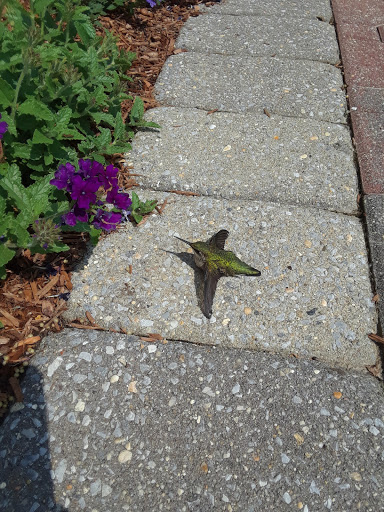 Insurance Agency «NJM Insurance Group», reviews and photos