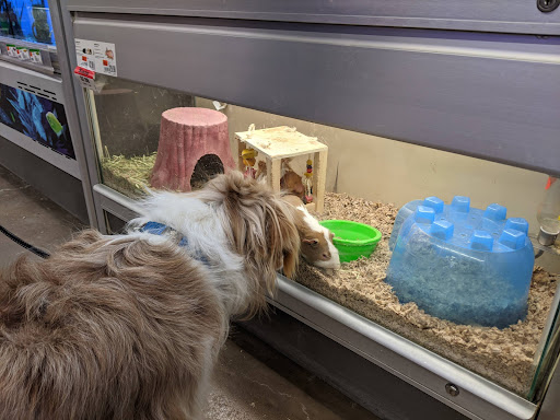 Pet Supply Store «Pet Supplies Plus», reviews and photos, 7954 Brewerton Rd #400, Cicero, NY 13039, USA