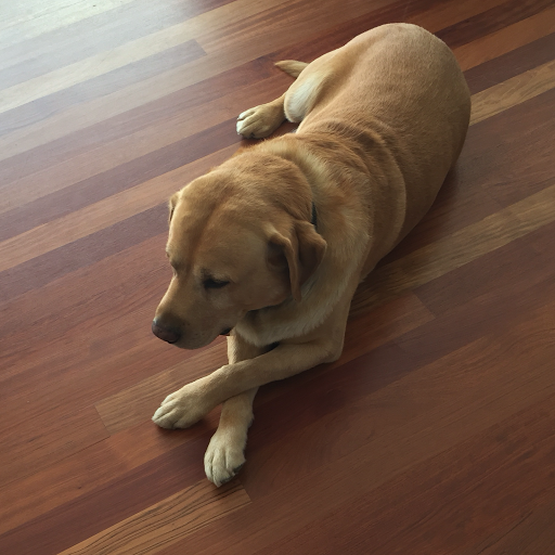 Kens Carpets & Flooring image