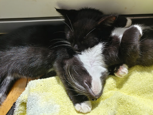 Pet Supply Store «Petco Animal Supplies», reviews and photos, 1060 U.S. 9, Parlin, NJ 08859, USA