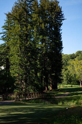 Golf Course «Mill Valley Golf Course», reviews and photos, 280 Buena Vista Ave, Mill Valley, CA 94941, USA