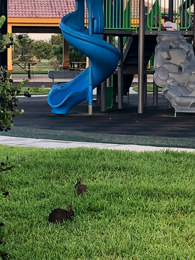 Park «Sabal Pines Park», reviews and photos, 5005 NW 39th Ave, Coconut Creek, FL 33073, USA